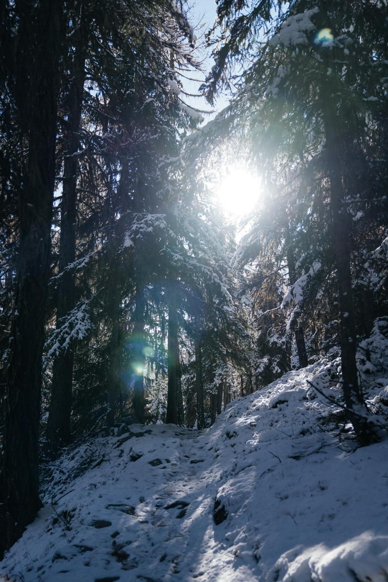 Waldhotel Fletschhorn Panoramic Retreat In Saas Fee Luaran gambar